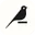 Dataiku logo